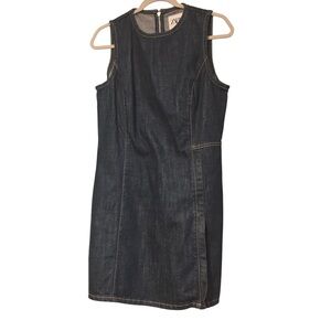 Zara Dark Denim Mini Dress